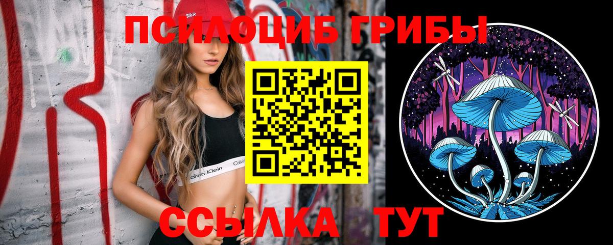 Псилоцибиновые грибы мицелий Берёзовский