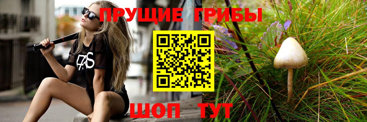 Псилоцибиновые грибы Psilocybine cubensis  Вход с VPN  Берёзовский  Галлюциногенные грибы мицелий 